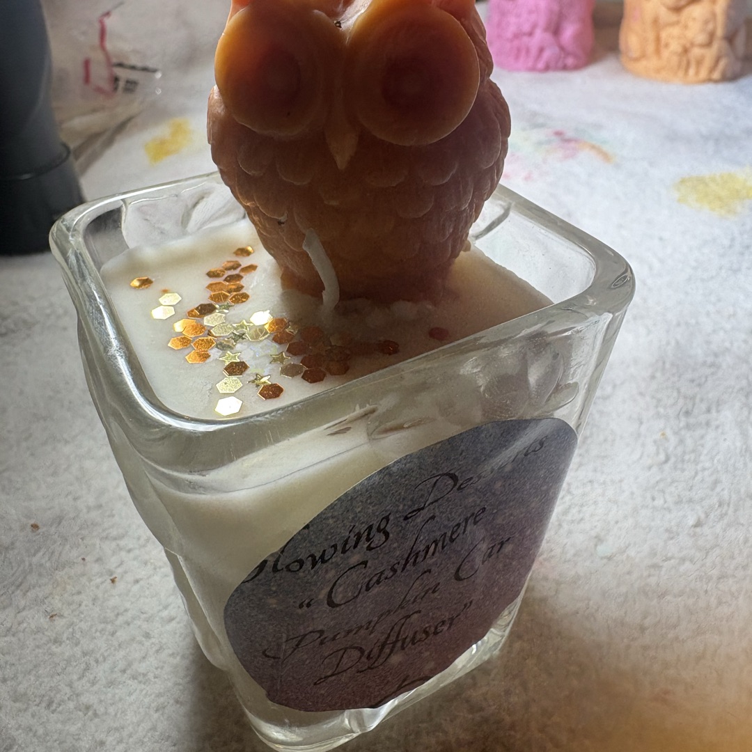 Cashmere Pumpkin Scented small owl candle , soy wax, handmad