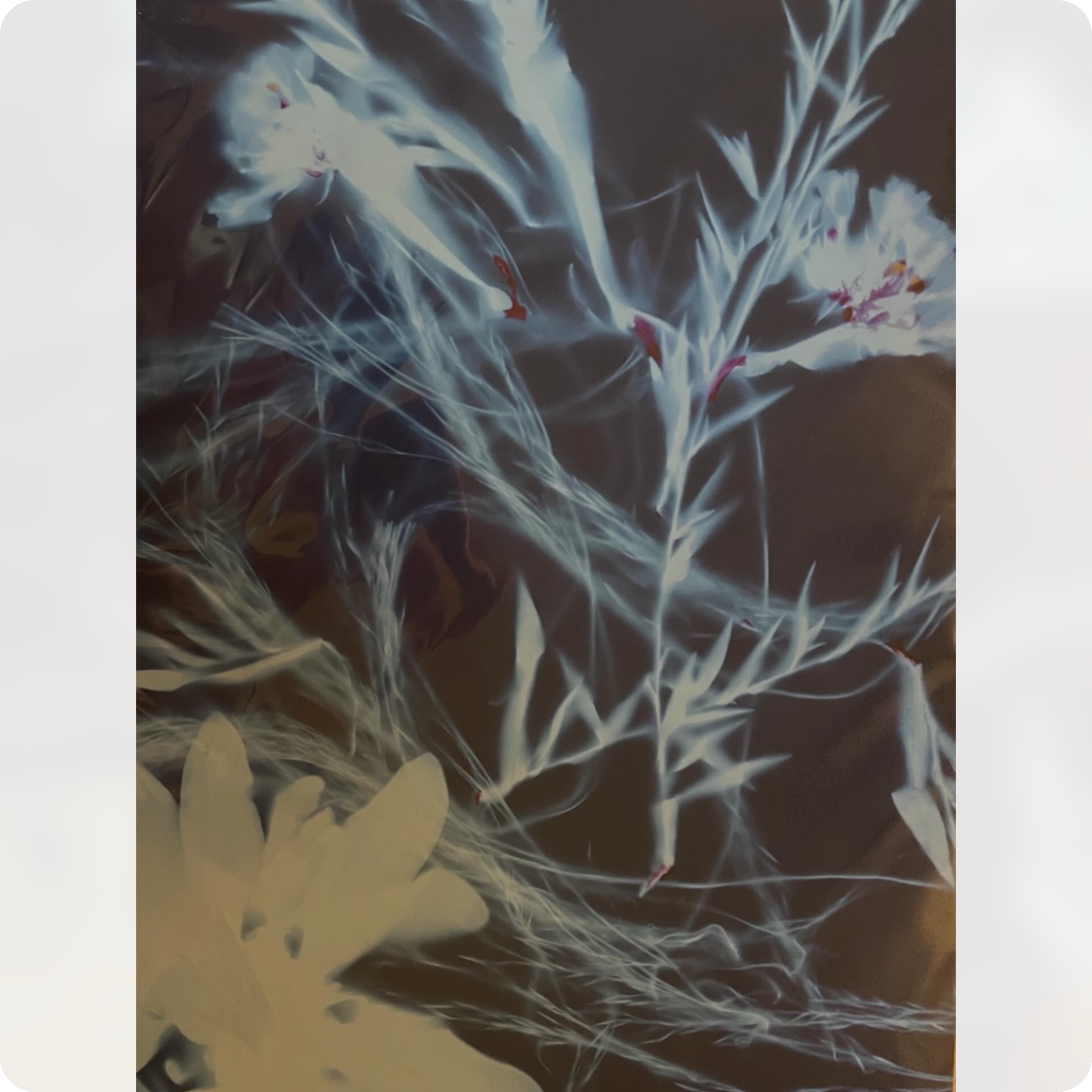 Floral Dance 8”x10”