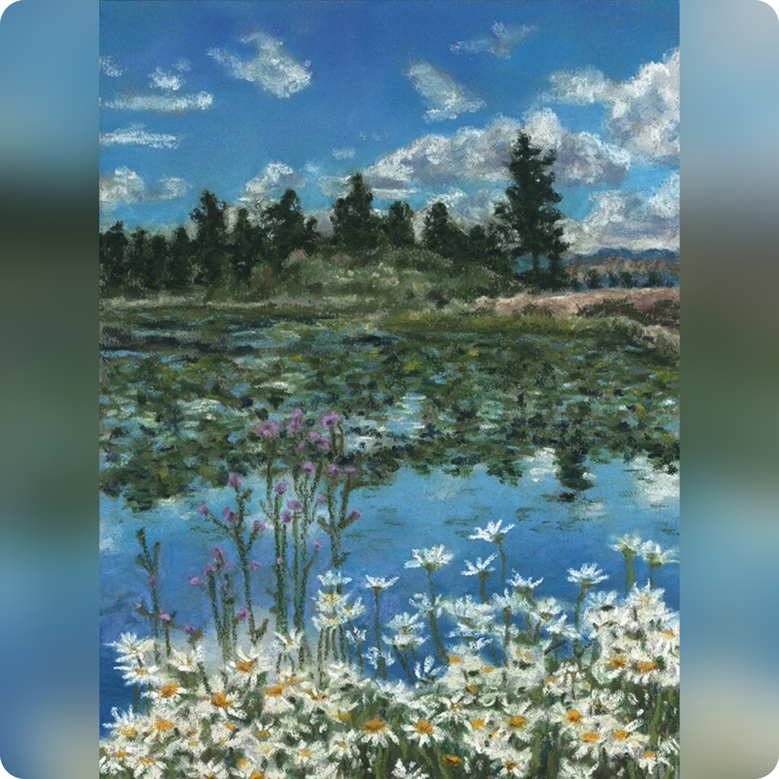 Daisy Pond Print