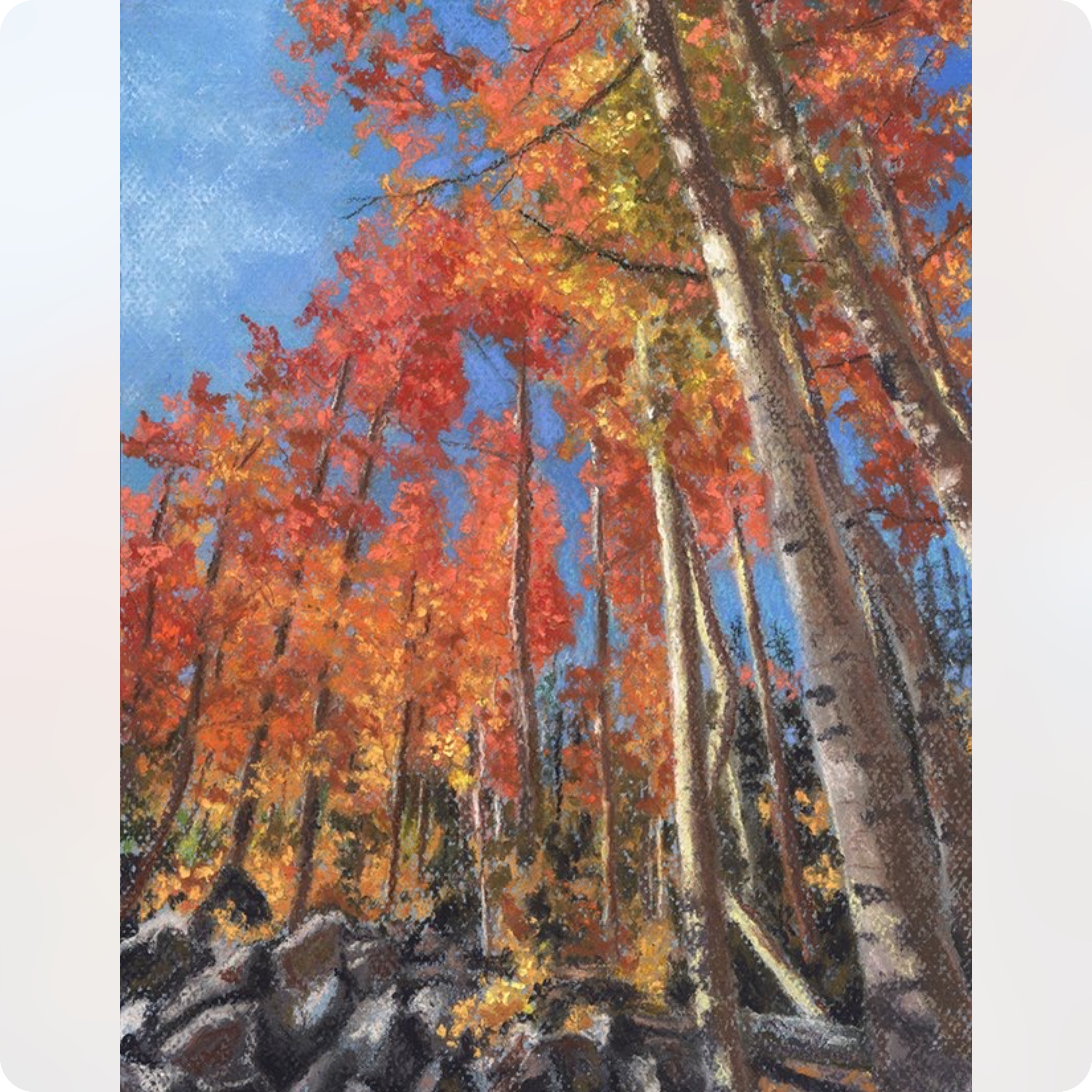 September Spectacle Aspen Trees Print