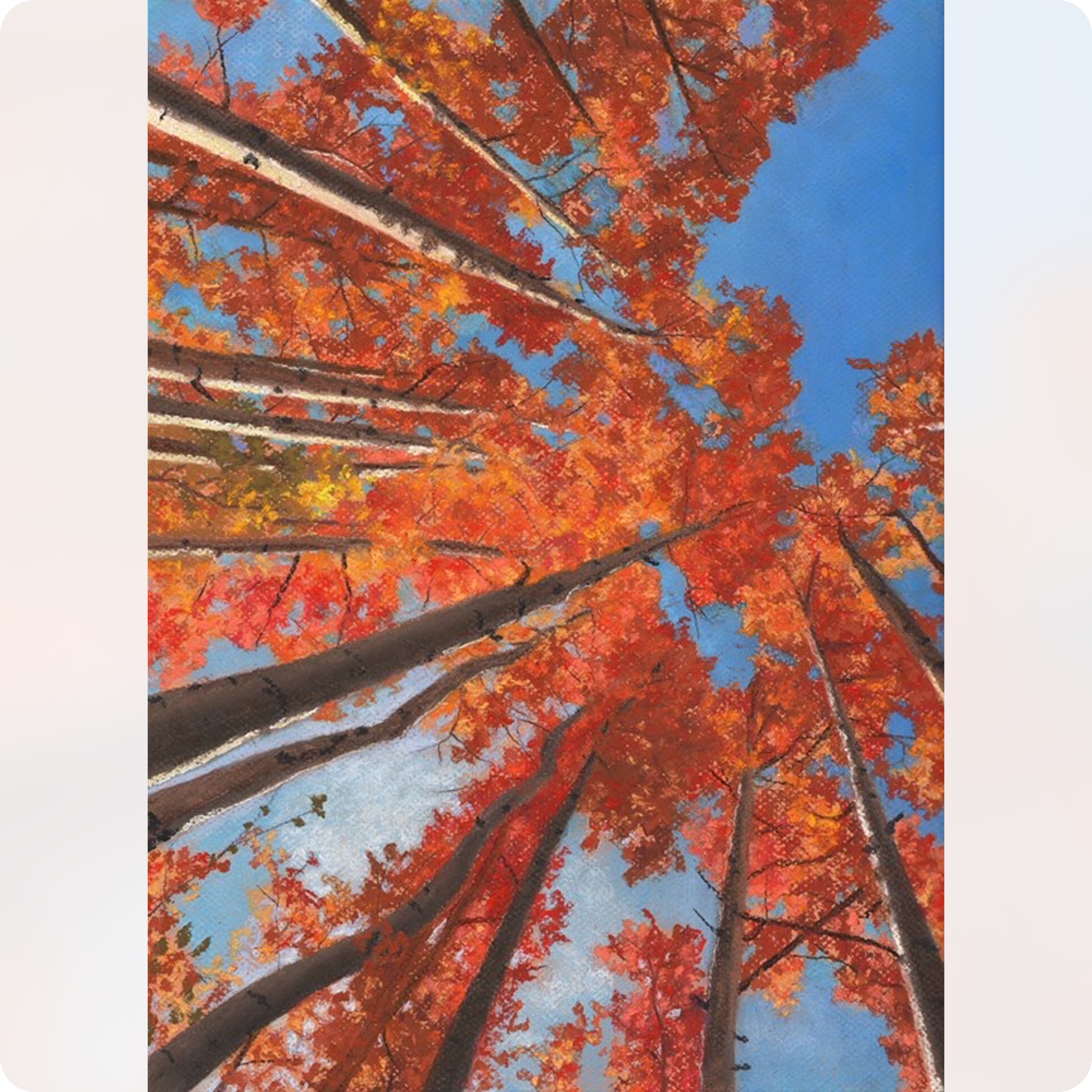 Your Song Red Aspen Trees Print