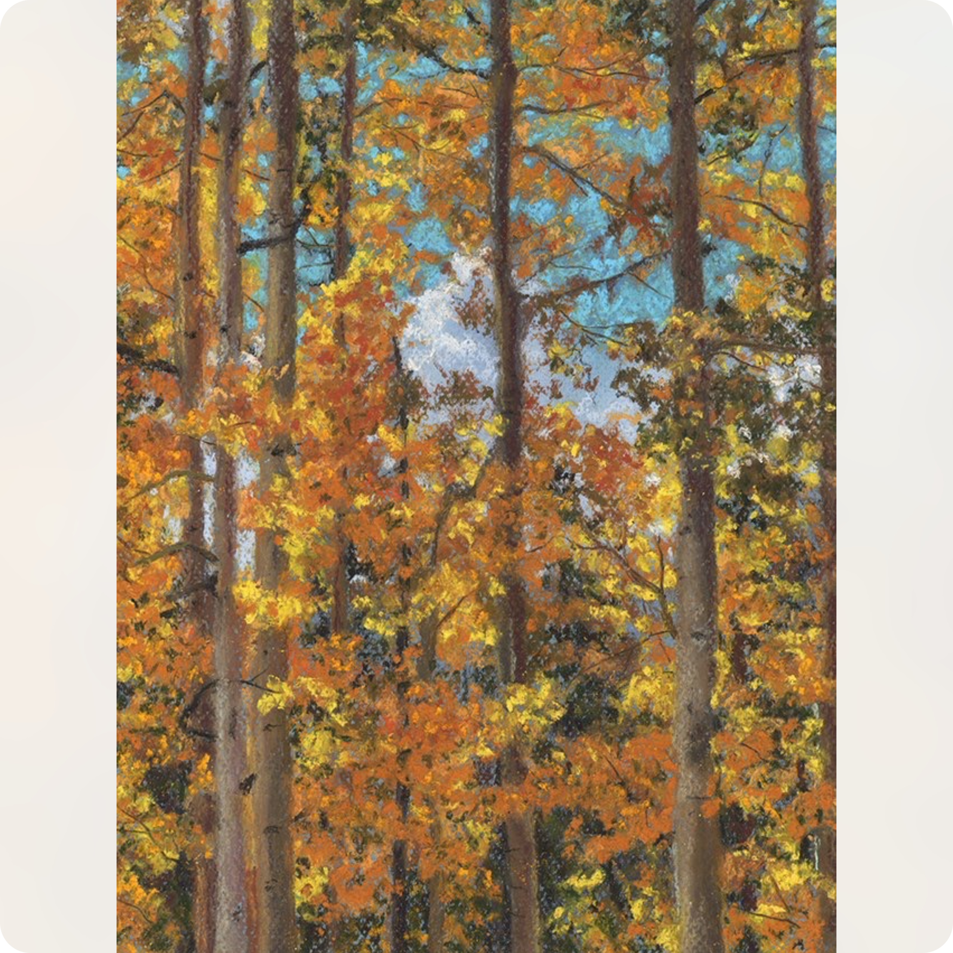 Golden Aspens Print