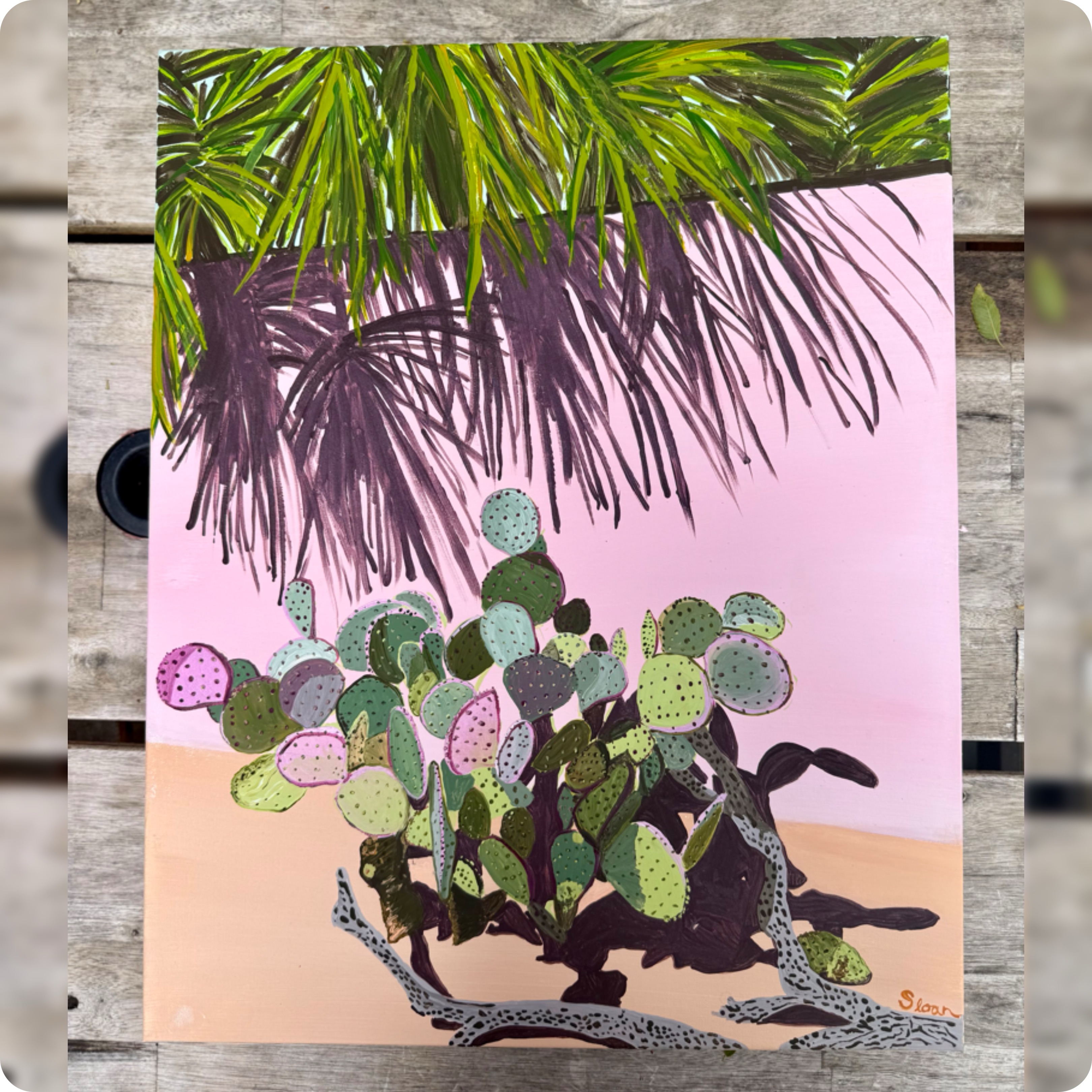 Cactus & Palms