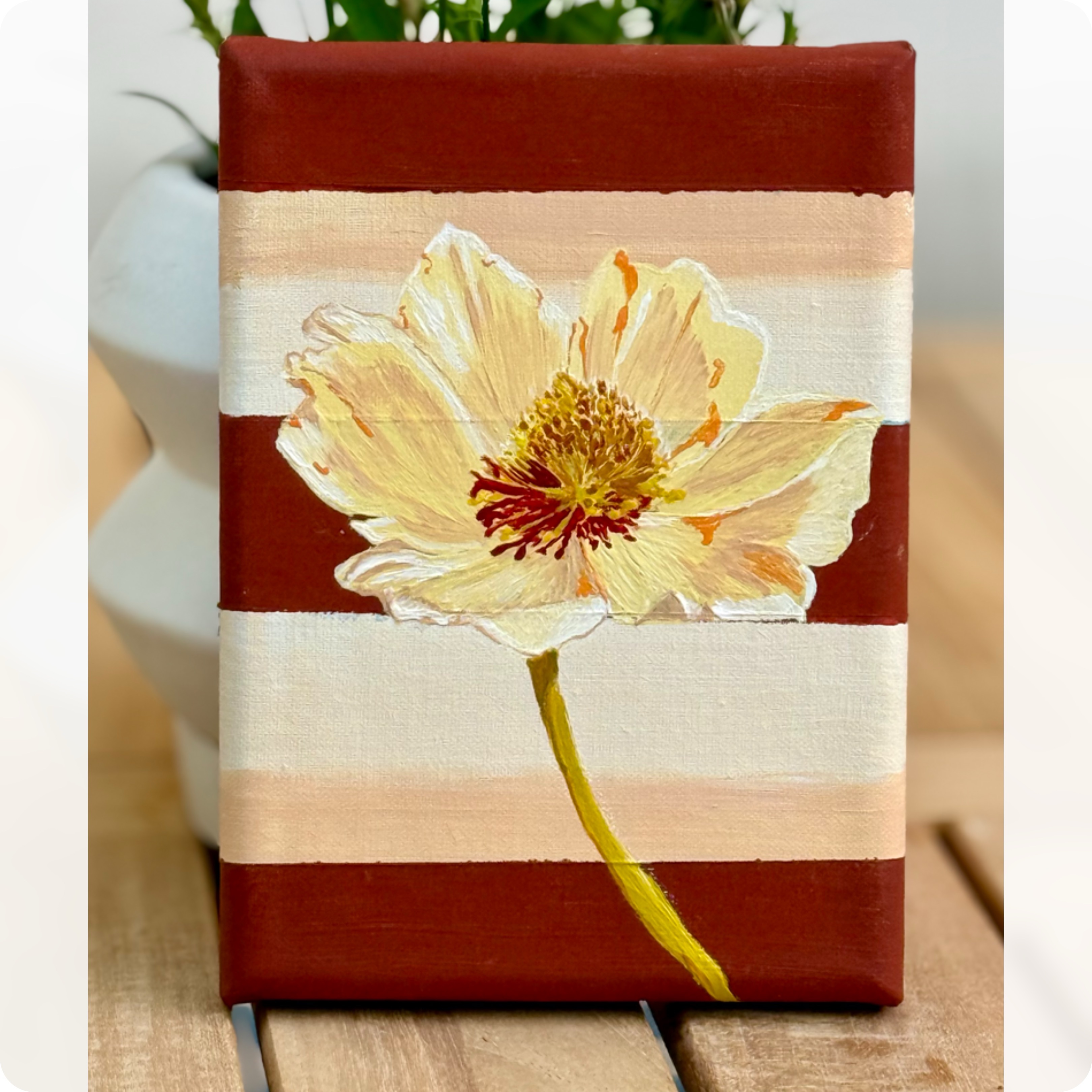 “White” Flower