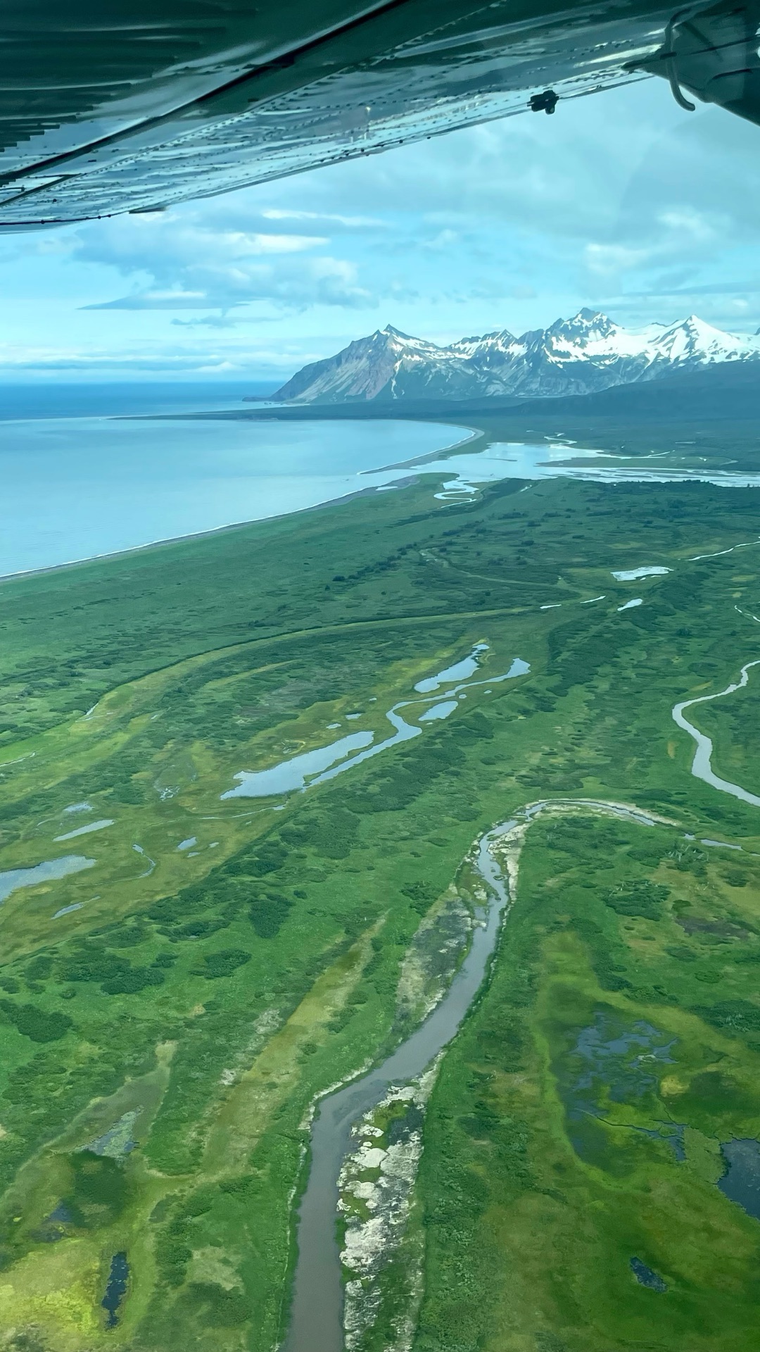 Flying into coastal brown bear territory, Katmai National Park. Rivers, tundra, and snow-capped peaks as far as you can see. Most people know these bears for catching salmon, but they spend a surprising amount of time grazing on sedges and grasses in meadows just like these. There’s something humbling about watching a thousand-pound predator quietly feeding in an open field. A side of the species most people never see.