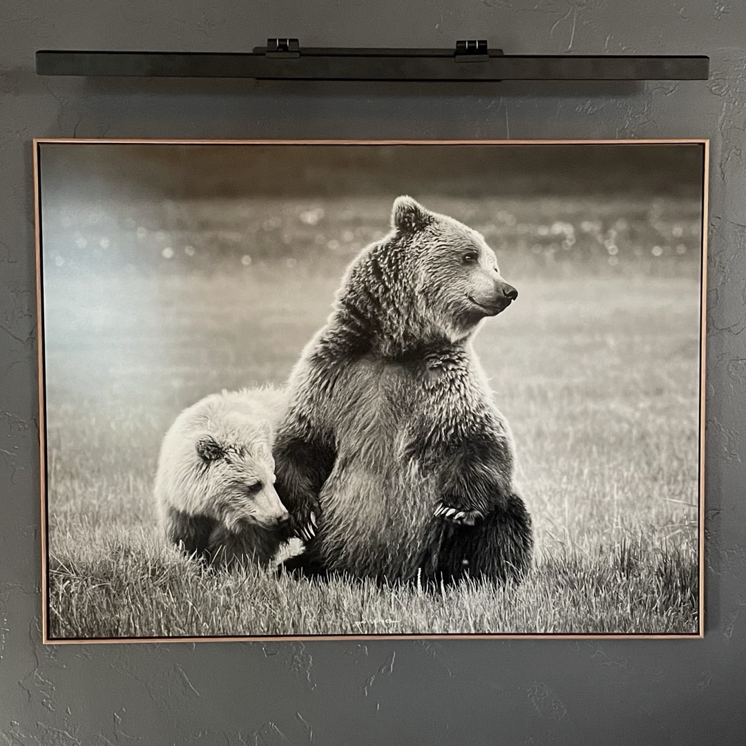 Coastal Brown Bear Mother and Cub Black and White
